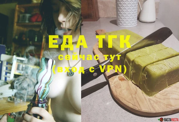 крисы Бородино