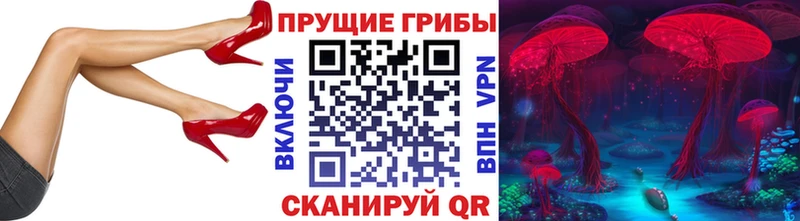 Псилоцибиновые грибы Psilocybe Карабаш